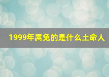 1999年属兔的是什么土命人