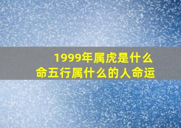 1999年属虎是什么命五行属什么的人命运