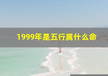 1999年是五行属什么命