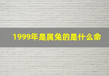 1999年是属兔的是什么命