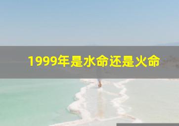 1999年是水命还是火命