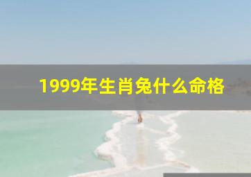 1999年生肖兔什么命格