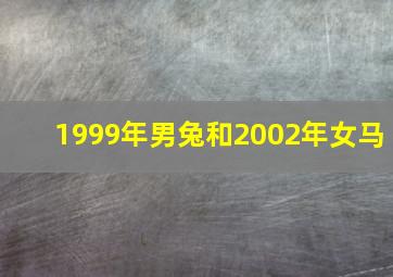 1999年男兔和2002年女马