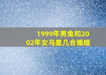 1999年男兔和2002年女马是几合婚姻