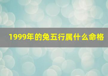 1999年的兔五行属什么命格