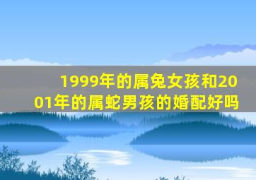 1999年的属兔女孩和2001年的属蛇男孩的婚配好吗