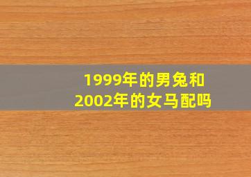 1999年的男兔和2002年的女马配吗