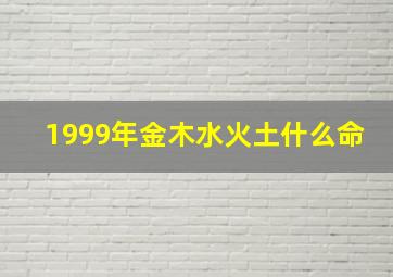 1999年金木水火土什么命