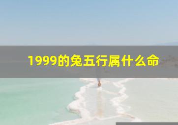 1999的兔五行属什么命