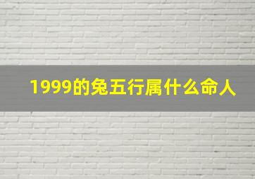 1999的兔五行属什么命人