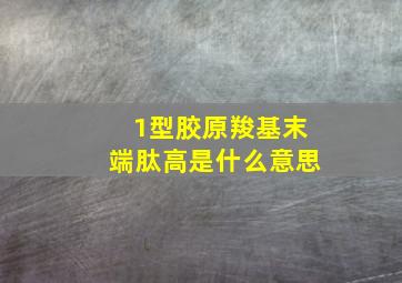 1型胶原羧基末端肽高是什么意思