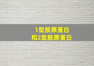 1型胶原蛋白和2型胶原蛋白