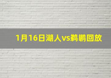 1月16日湖人vs鹈鹕回放