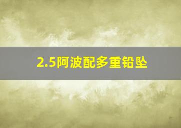 2.5阿波配多重铅坠