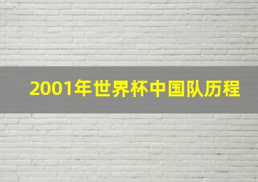 2001年世界杯中国队历程