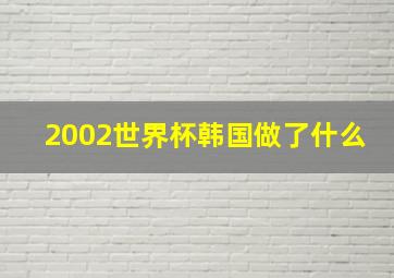 2002世界杯韩国做了什么