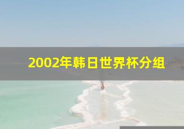 2002年韩日世界杯分组