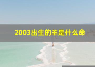 2003出生的羊是什么命