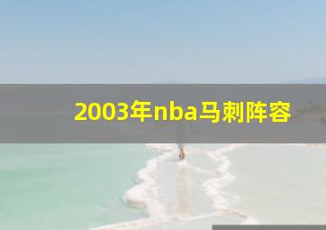 2003年nba马刺阵容