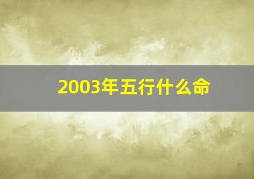 2003年五行什么命