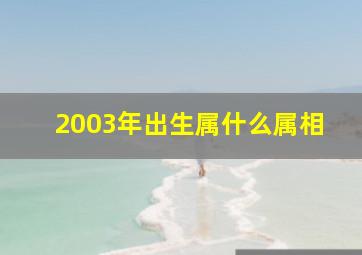 2003年出生属什么属相