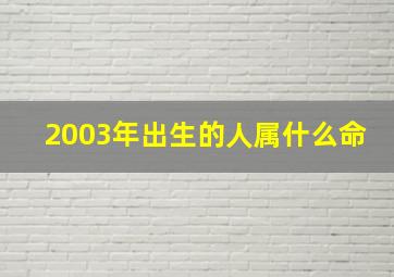 2003年出生的人属什么命