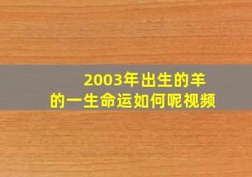 2003年出生的羊的一生命运如何呢视频