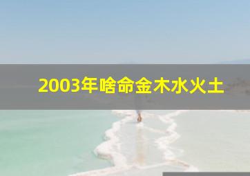 2003年啥命金木水火土