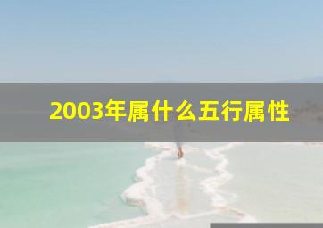 2003年属什么五行属性