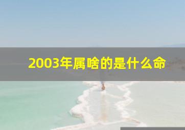 2003年属啥的是什么命