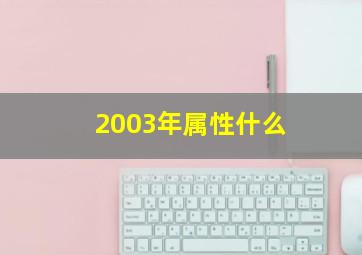 2003年属性什么