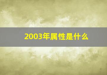 2003年属性是什么