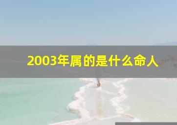 2003年属的是什么命人