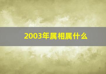 2003年属相属什么