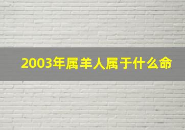 2003年属羊人属于什么命