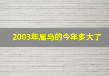 2003年属马的今年多大了