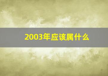 2003年应该属什么