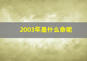 2003年是什么命呢