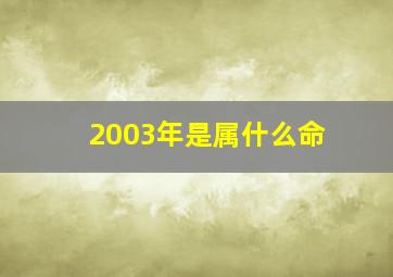 2003年是属什么命