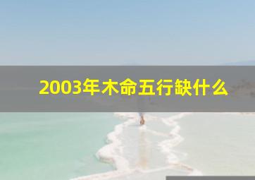 2003年木命五行缺什么