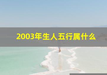 2003年生人五行属什么