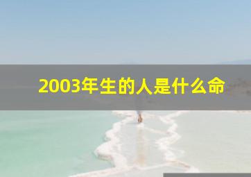 2003年生的人是什么命