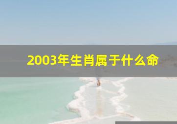 2003年生肖属于什么命