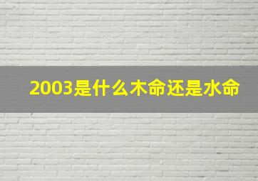 2003是什么木命还是水命