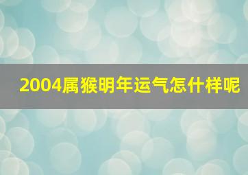 2004属猴明年运气怎什样呢