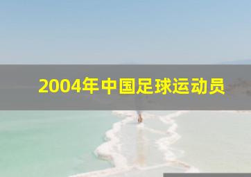 2004年中国足球运动员