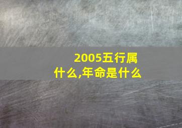 2005五行属什么,年命是什么