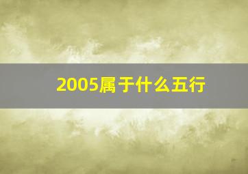 2005属于什么五行