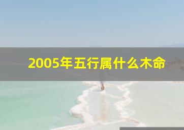 2005年五行属什么木命