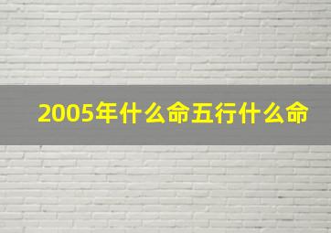 2005年什么命五行什么命